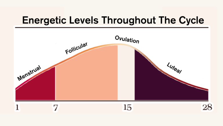 energetic-levels-throughout-your-cycle-the-agenda