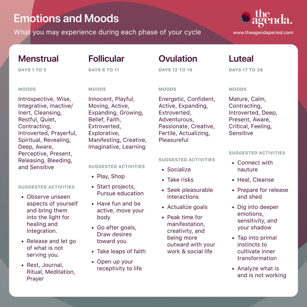 Menstrual Phases Quick Guide - The Agenda.